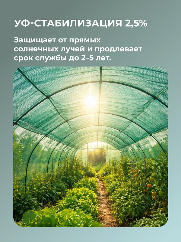 /upload/resize_cache/iblock/8d3/800_800_0/rfsfj0va2qno6wxpvgvkb247fs4pjyi3.jpg