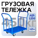 Платформенная тележка Промышленник 1200х600 ПД-6.12 160 мм с двумя ручками фото 1